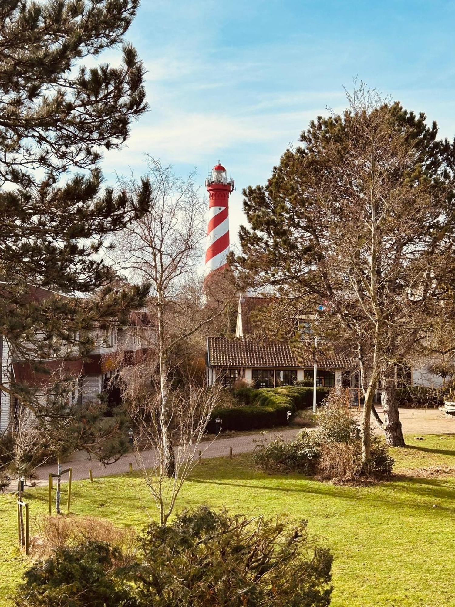 Westerlicht - Am Leuchtturm - De Torenhoeve *